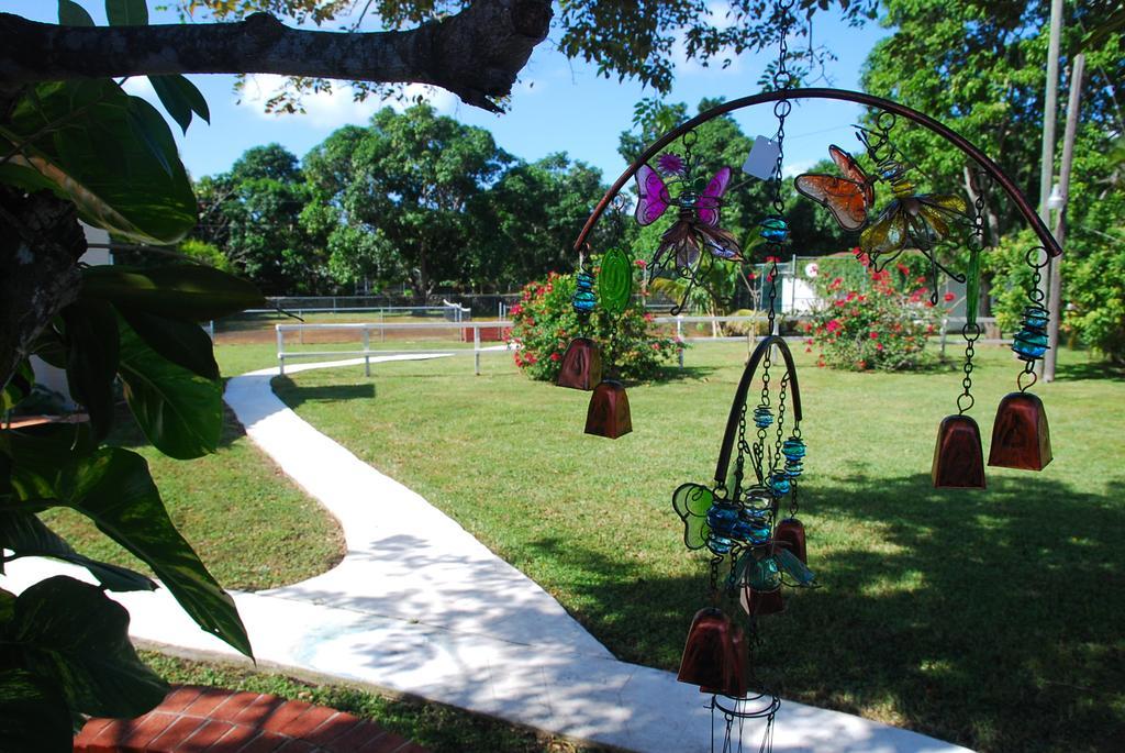 La Finca Miami Luaran gambar