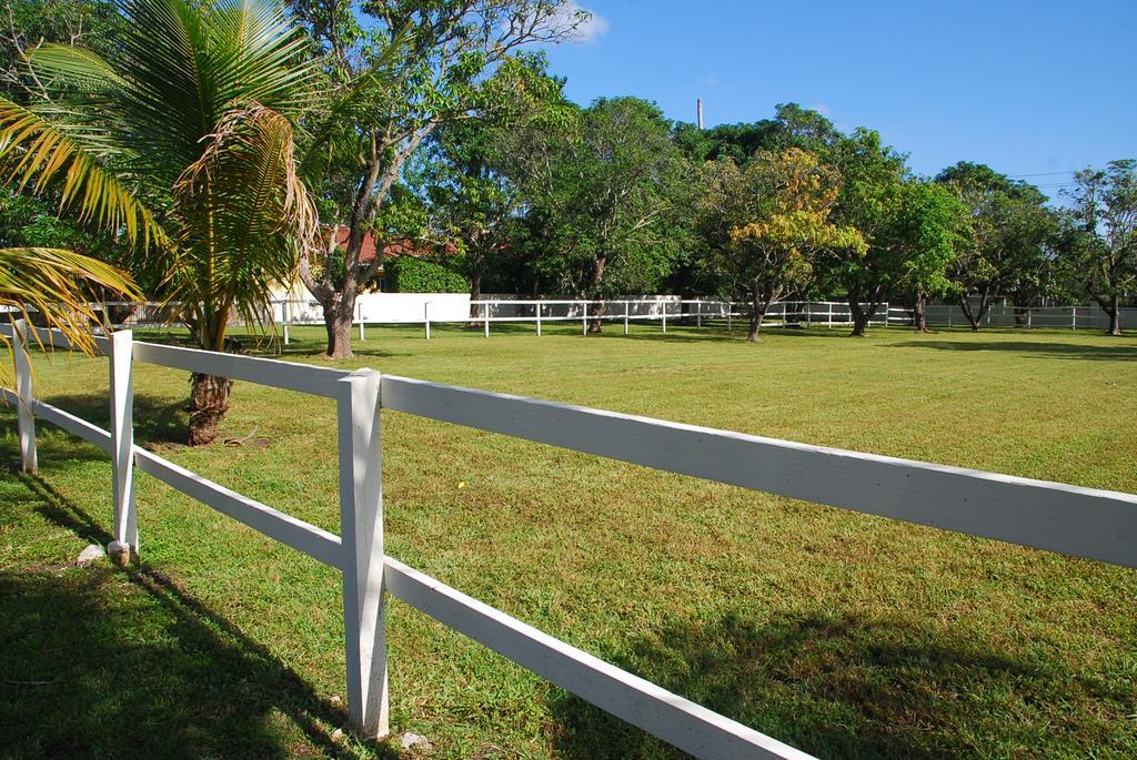La Finca Miami Luaran gambar